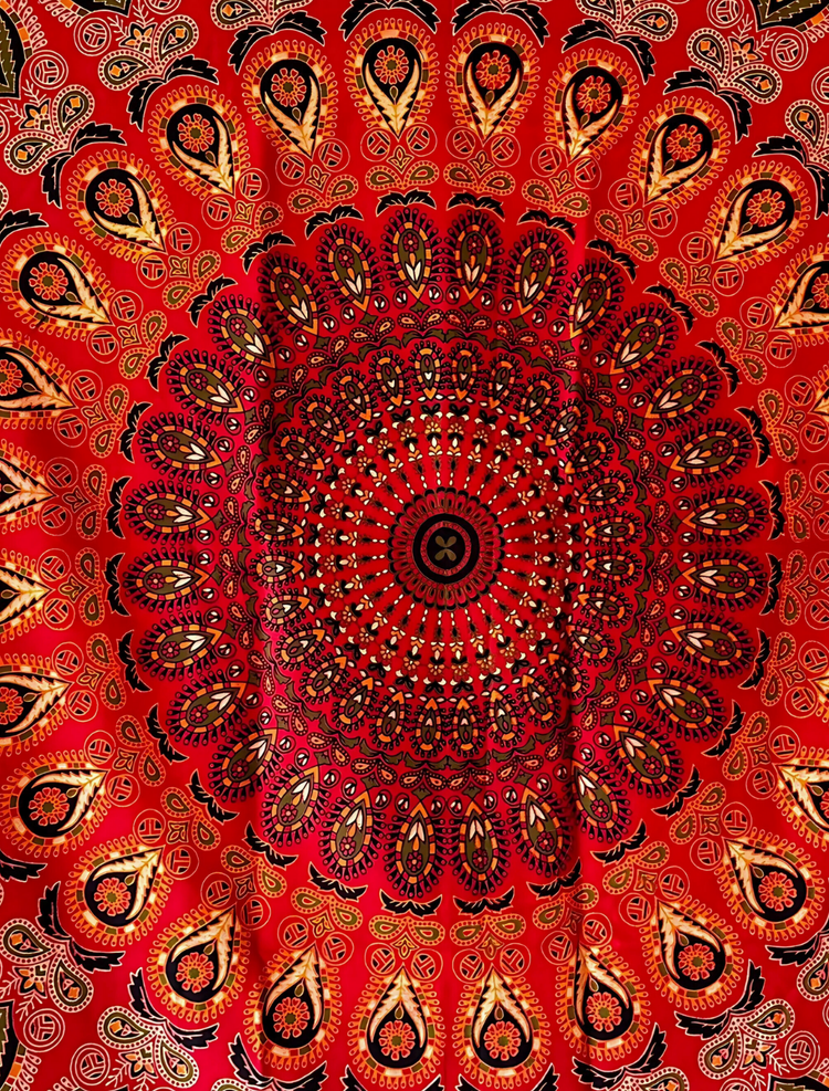Fine Paint Mandala Wall Tapestry