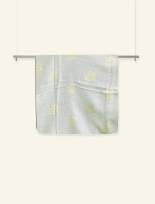 Cashmere Scarf with Zari Work