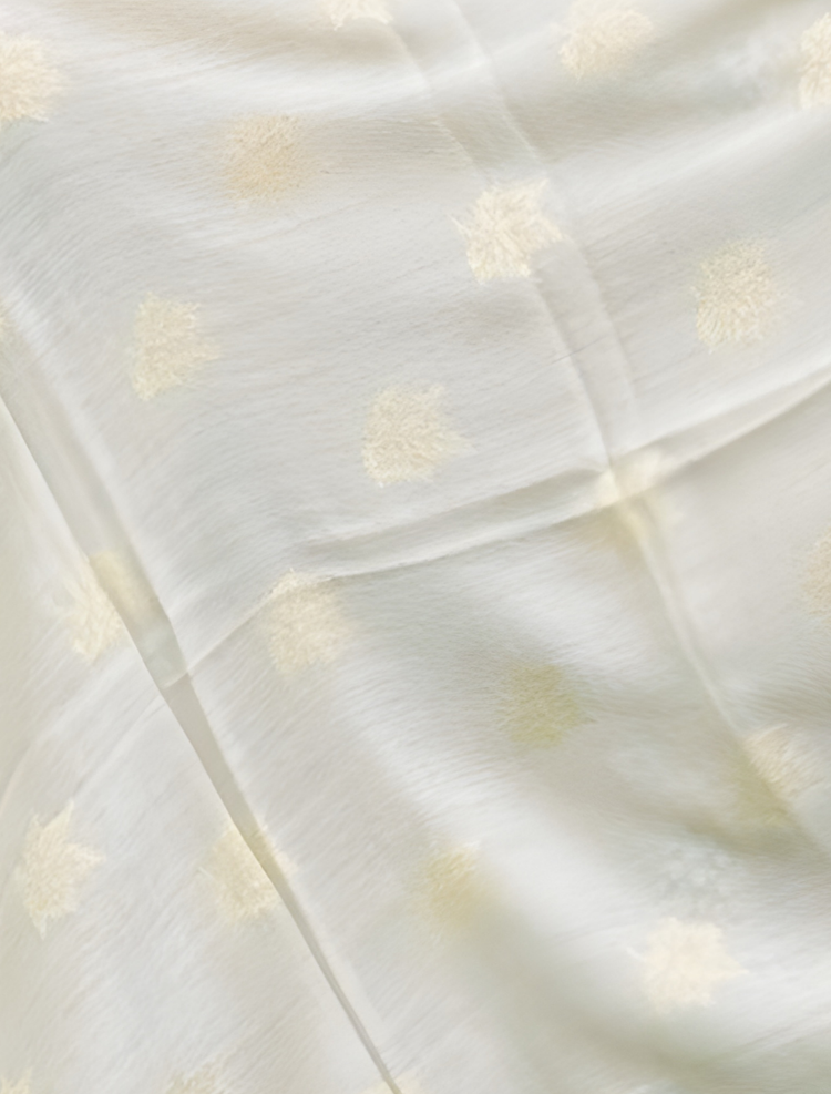 Cashmere Scarf with Zari Work